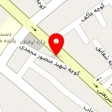 دزدگیر بت مرتضوی