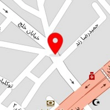 موسسه فنی امیر
