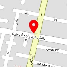 الکتریکی سلگی