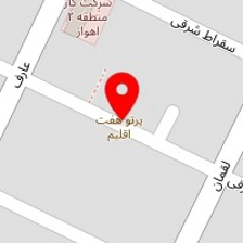 دز الکترونیک