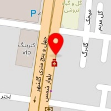 پویا الکتریک