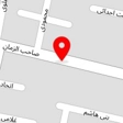 دوربین و دزدگیر چشم سوم پویا