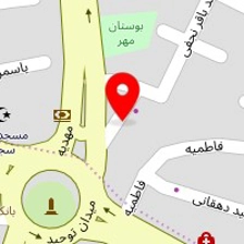 فروشگاه اسنوا پیرجابری