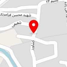 الکتریکی سیگنال