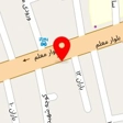 دزدگیر قصر