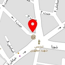 گروه فنی مهندسی رادیس