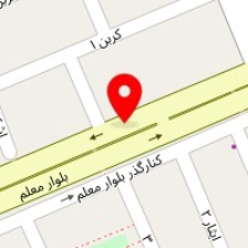 الکتریکی علی حقیقی