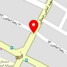 دوربین مداربسته (شهر دوربین)