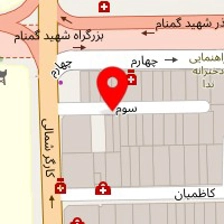 گروه ساقه