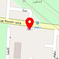 بصیرت یکتا پردازش داده