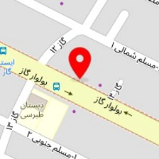 نمایندگی دزدگیر ماجیکار