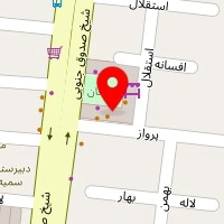 خشکشویی برف اکسپرس