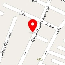 خشکشویی دلفین