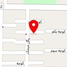 خشکشویی پاک