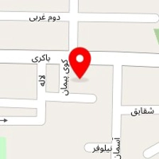 خشکشویی ارس