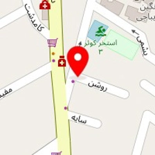 خشکشویی ارین