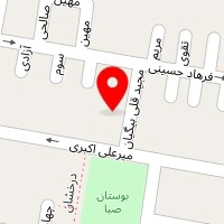 خشکشویی و سفیدشویی محسنی