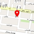 گل مینیاتور