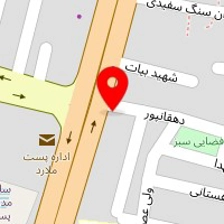 مستر کاکتوس فروشگاه اینترنتی گل و گیاه