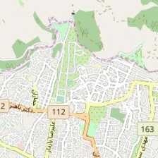 دکتر لیلا کمانی
