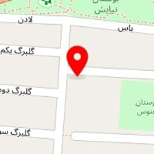 دکتر شهناز نجاری