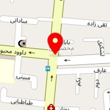 آرایشگاه عسل