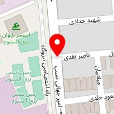 وکیل پایه یک دادگستری نفیسه امیراحمدی