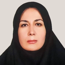 وکیل پدیده امام