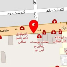 دکتر حمید میرلوحی