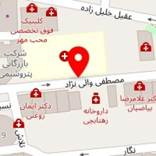 دکتر محمدرضا شباهنگ