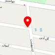 وکیل نسرین انصاری