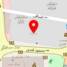 دکتر رویا امیرزادگان