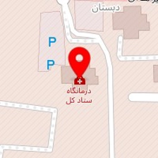 دکتر محمدرضا شکوری