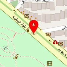 سالن اکستنشن میرمجیدی