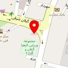 سالن زیبایی شانه