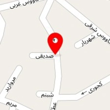 وکیل الناز بندور