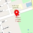 دکتر حمیدرضا برزوئی