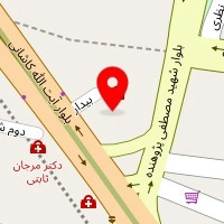 دکتر نادر کرکی