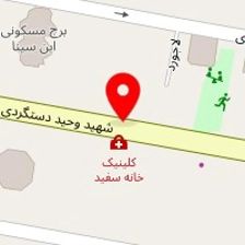 دکتر پروین امینی