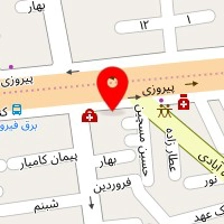 دکتر فاضل هاشم نژاد