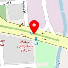 وکیل حمیده سادات داودی