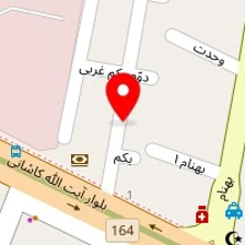 دکتر فاطمه حمیدی