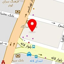 دکتر صدیقه نادری