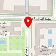 دکتر لادن کرامتی