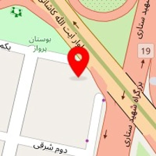 دکتر نرجس صنعتی