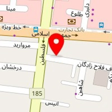 دکتر سوسن احمدی