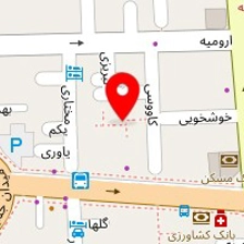 میکروچاپ ایران