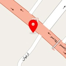 پخش گلدان حسینیان