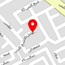 کاکتوس متین