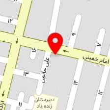 کیف کاکتوس